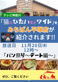 テレビ神奈川にてみちぱん平塚店が紹介されます!